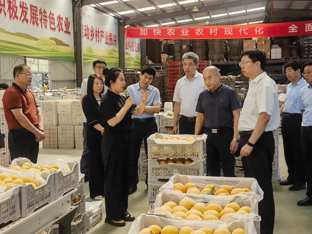 济南市南部山区管委会考察团到蒙阴街道考察